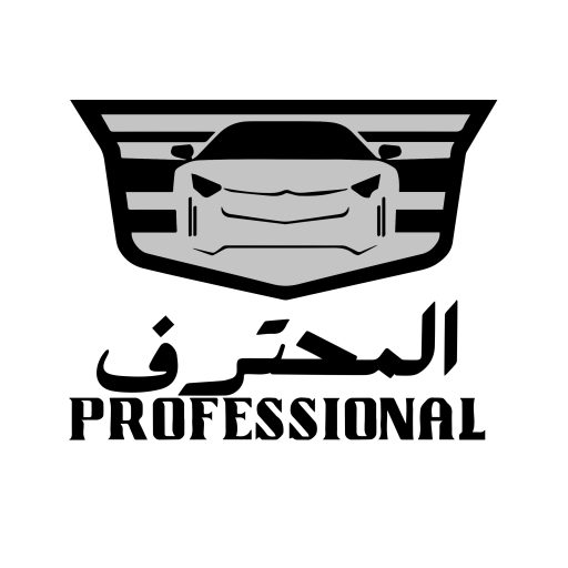 Professional car care
